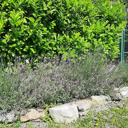 Le Cirese Homestay San Martino Canavese