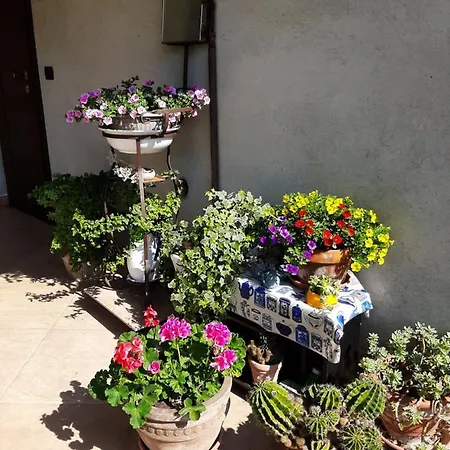 Homestay Le Cirese San Martino Canavese